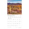 BrownTrout; Arizona Wild & Scenic | 2027 12 x 24 Inch (Hanging) Monthly Square Wall Calendar | Plastic-Free; Category:Wall Calendars; Image:5